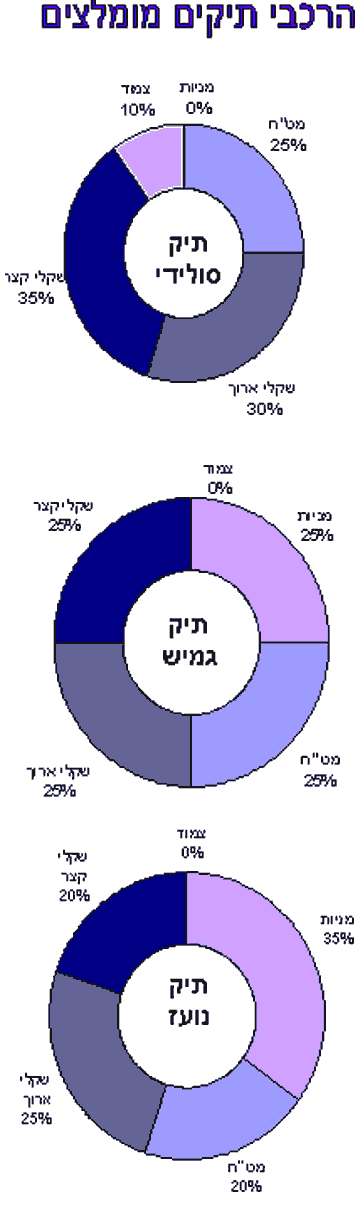 הרכבי תיקים 11