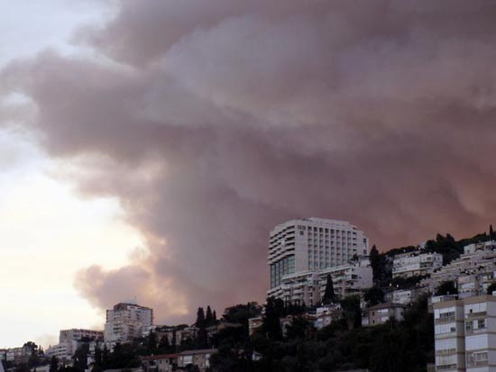 שריפה בכרמל חיפה / צלם: יחצ