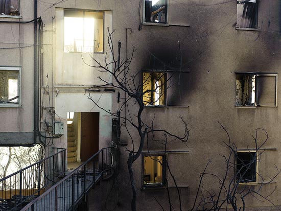 בית אורן שריפה בכרמל חיפה / צלם: אדוארד קפרוב
