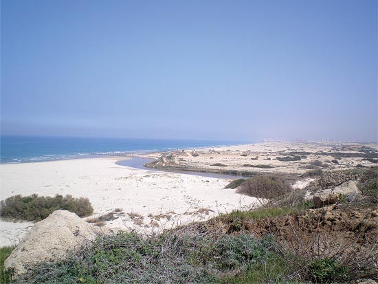 פרוייקטים תחרותייים / צלם: יחצ