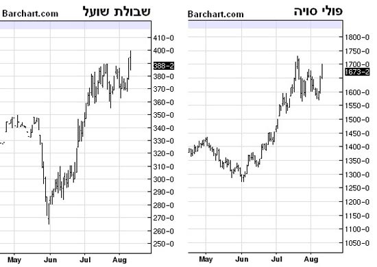 משה שלום סויה / צלם: יחצ משה שלום סויה / צלם: יחצ