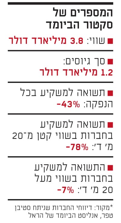 המספרים