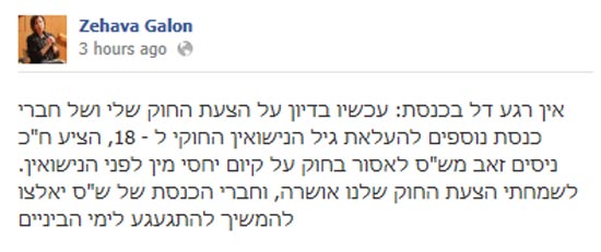 זהבה גלאון / צילום: מתוך הפייסבוק