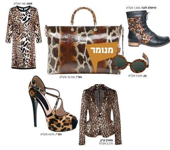 מנומר / צילום: יחצ מנומר / צילום: יחצ
