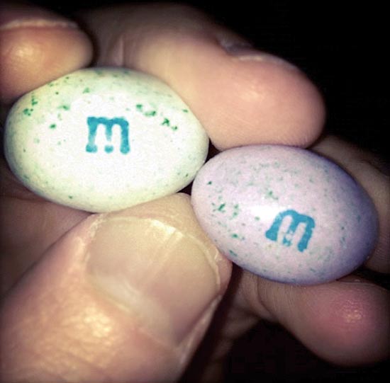 m and m`s / צילום מתוך האינסטגרם של יואב צוקר