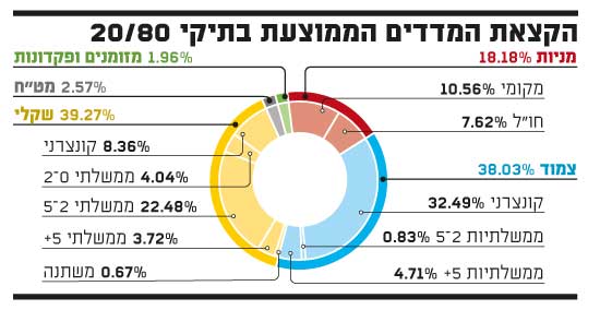 הקצאת מדדים