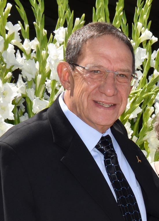 כרמי גילון / צילום: יחצ כרמי גילון / צילום: יחצ