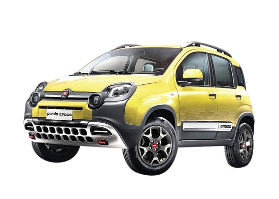 Panda Cross / צילום: יחצ Panda Cross / צילום: יחצ