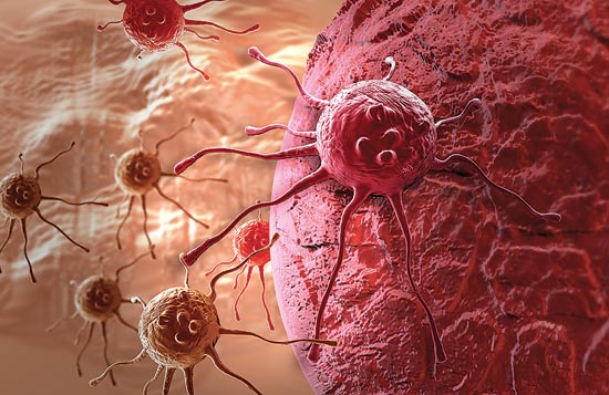 סרטן, תאי גזע, ביומד / צילום: thinkstock