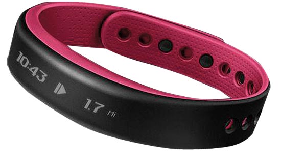 צמיד בריאות VivoSmart - גראמין / צילום: יחצ צמיד בריאות VivoSmart - גראמין / צילום: יחצ