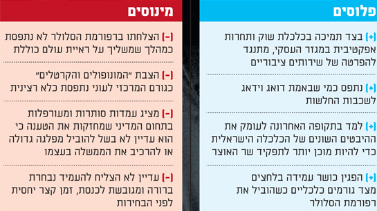פלוסים ומינוסים פלוסים ומינוסים
