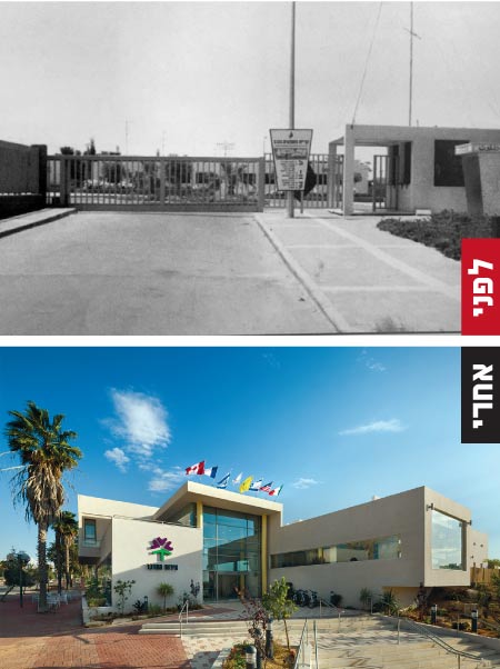 אירוס המדבר / צילום: יחצ אירוס המדבר / צילום: יחצ