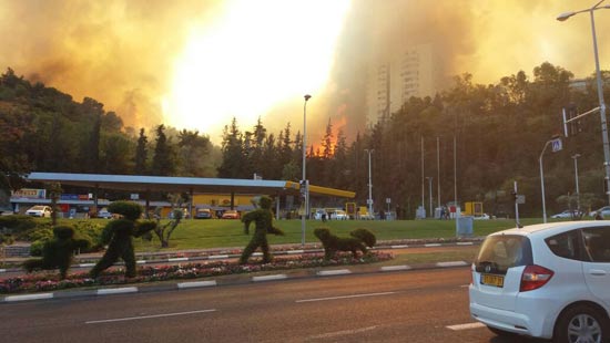 שריפה בחיפה / צילום : משה טובי