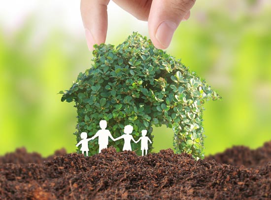 פתרון פיצול נחלה/ צילום: Shutterstock/ א.ס.א.פ קרייטיב פתרון פיצול נחלה/ צילום: Shutterstock/ א.ס.א.פ קרייטיב