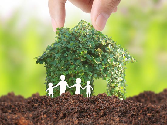 בעלי נחלות/ צילום: Shutterstock/ א.ס.א.פ קרייטיב בעלי נחלות/ צילום: Shutterstock/ א.ס.א.פ קרייטיב