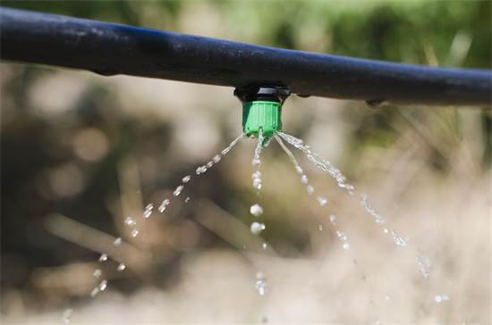 טפטפות: המצאת המים הגדולה במאה ה-20/צילום: Shutterstock/ א.ס.א.פ קרייטיב