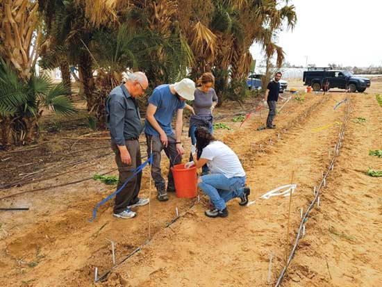 ניסוי שטח בפרויקט הדברה ביולוגית בצפון הערבה / צילום: יח"צ ניסוי שטח בפרויקט הדברה ביולוגית בצפון הערבה / צילום: יח"צ