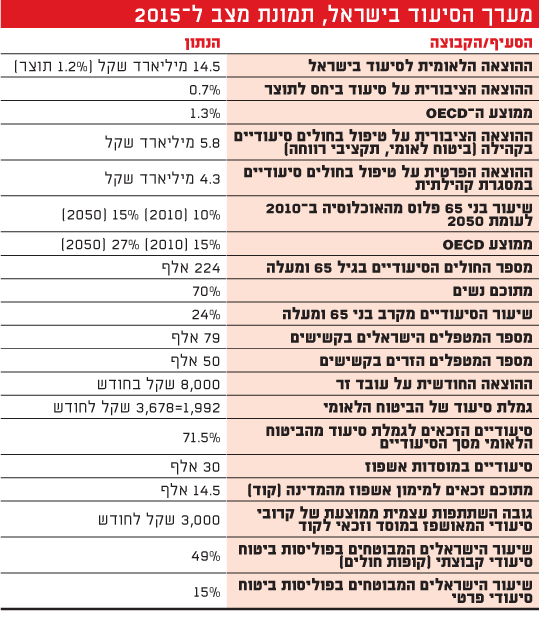 מערך הסיעוד בישראל, תמונת מצב ל-2015