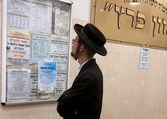 מודעת הפרסומת של קדמת עדן / צילום: יח"צ מודעת הפרסומת של קדמת עדן / צילום: יח"צ
