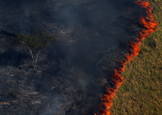 שריפות ביערות האמזונס, ברזיל / צילום: רויטרס