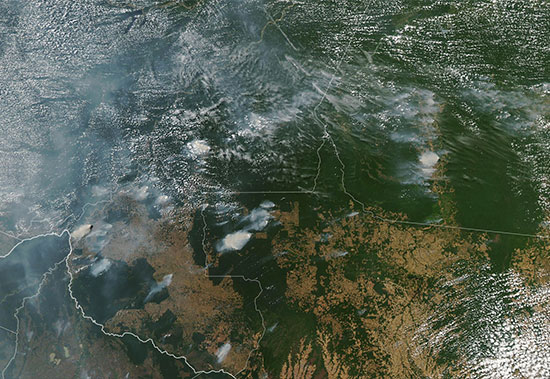 שריפות ביערות האמזונס, ברזיל. צילום לווין / צילום: NASA Goddard Space Flight Center