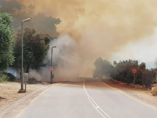 שריפות ענק בכפר אוריה, גיזו, ויער הנשיא