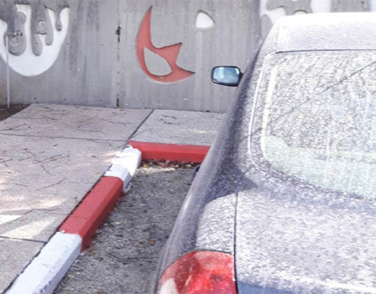 משקע אבקתי לבן על מכוניות בקיבוץ דליה / צילום: דוברות המשרד להגנת הסביבה
