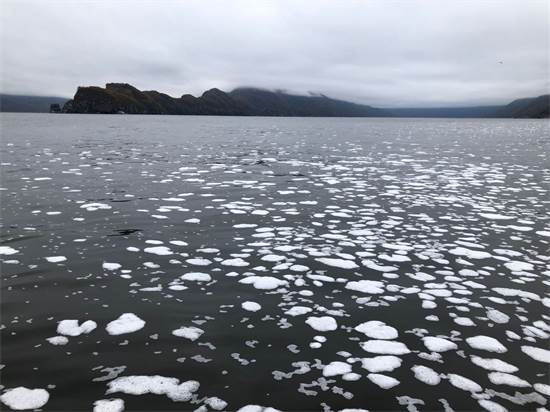 על מי הים בקמצ'טקה נוצר קצף לבן שמקורו לא ברור ושגרם לזיהום חמור / צילום: Elena Safronova, גרינפיס