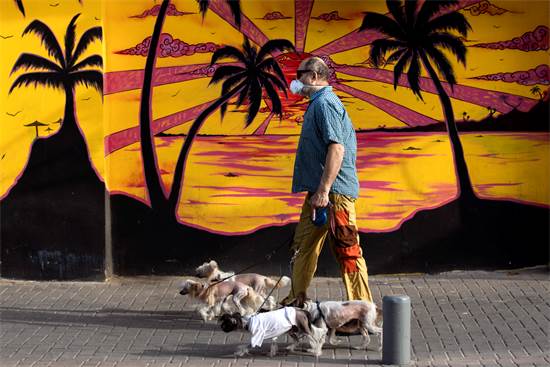 גבר מוציא את כלביו לטיול כשהוא חובש מסכת פנים במהלך הסגר בתל-אביב / צילום: AP