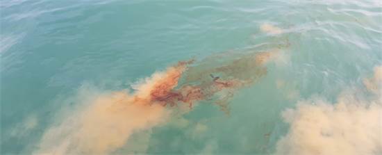 דליפת נפט בנמל קצא"א באשקלון /  צילום: יצחק קודוביצקי, המשרד להגנת הסביבה