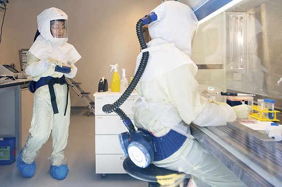 מדענים עורכים ניסויים בנגיף הקורונה במכון ביולוגי בבראונשווייג, גרמניה בחודש מאי / צילום: Julian Stratenschulte, Associated Press