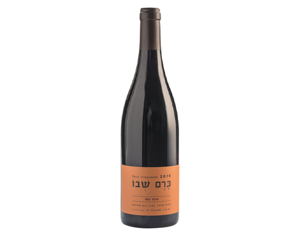 שבו אדום 2017 / צילום: יח"צ שבו אדום 2017 / צילום: יח"צ