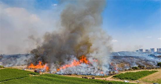 שריפה בעוטף עזה בשל בלוני תבערה / צילום: אמנון זיו, יח"צ שריפה בעוטף עזה בשל בלוני תבערה / צילום: אמנון זיו, יח"צ
