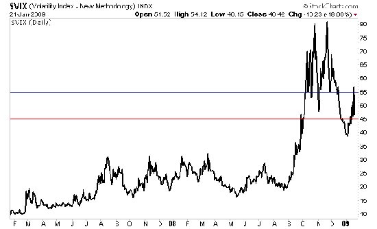 זיו סגל יום ה