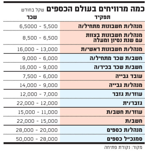 כמה מרוויחים