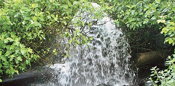 רגליים במים, הראש בעננים מפל  / צלם: אורלי גינוסר