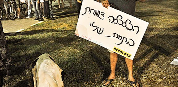 הפגנה   / צלם:  בן יוסטר