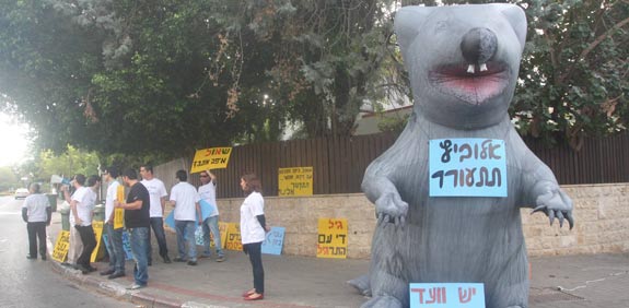 הפגנות עובדי פלאפון / צילום: רוני שיצר