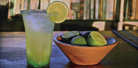 מרגריטה / צלם: תמר מצפי