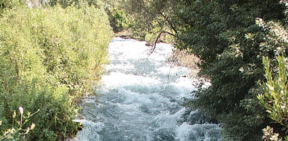 שמורת תל דן / צילום: אורלי גנוסר