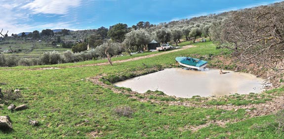 קדיתא/צילום: רפי קוץ 