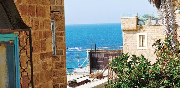 שיטוט ביפו / צילום: רפי קוץ