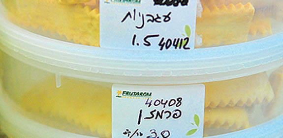 פרוטרום / צלם: רפי קוץ