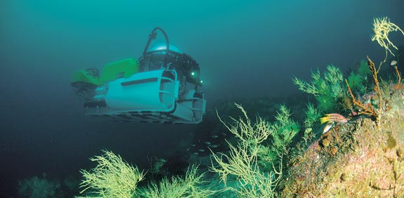 אתר צלילה קוסטה ריקה / צילום: Undersea Hunter
