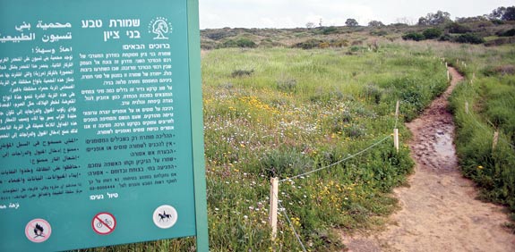 שמורת בני ציון / צילום: עמית גושר