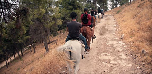מצפה עמוקה בגליל  / צלם: אורי גנוסר