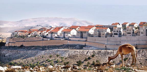 שטח E1 / צילום: רויטרס