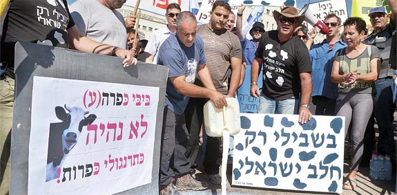 הפגנת הרפתנים / צילום: אוריה תדמור 
