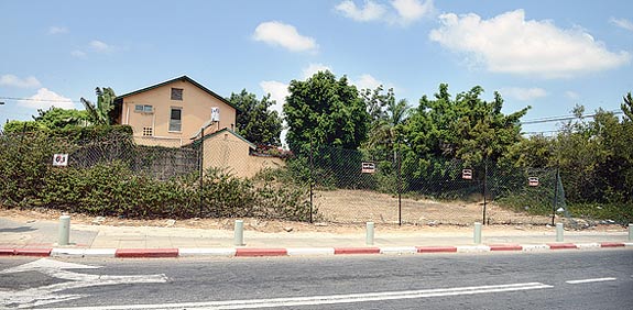 מגרש בתל ברוך/ צילום: תמר מצפי