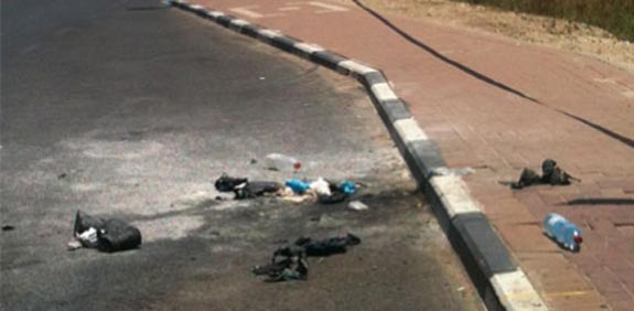 הצתה / צילום:  מירב פולק שלזינגר אתר חדשות ערוצ 2